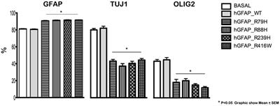 Alexander Disease Mutations Produce Cells with Coexpression of Glial Fibrillary Acidic Protein and NG2 in Neurosphere Cultures and Inhibit Differentiation into Mature Oligodendrocytes